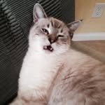 P̥ͦe̥ͦg̥ͦg̥ͦy̥ͦ - @peggy.layton - Instagram