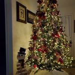 Peggy Ledbetter - @detroithockey99 - Instagram