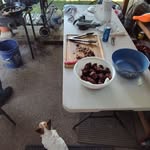 Peggy Ledbetter - @peggy.ledbetter - Instagram