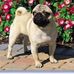 Peggyann Liddell - Facebook