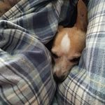 Peggy Lilly-White - @peggylillywhite - Instagram