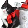 Peggy Litton547 - @peggylitton547 - TikTok