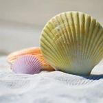 Peggy Litton - @peggylitton - Instagram