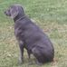 Peggy Lloyd - Facebook