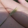peggylogan810 - @peggylogan810 - TikTok