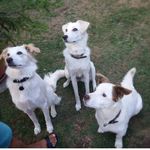 macchialuceandpeggy - @macchia_luce_peggy - Instagram