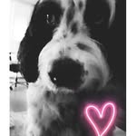 Peggy Luce - @peggyluce209 - Instagram