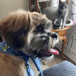 Peggy Luce - @peggy.luce - Instagram