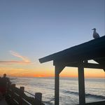 Peggy Lyons - @peggy_lyons - Instagram