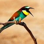 Peggy Lyons - @lyons_peggy - Instagram
