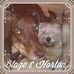 Peggy Majors - Facebook