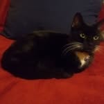 Peggy Mansfield - @peggymansfield44 - Instagram