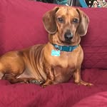 Peggy Mansfield - @pegsterman - Instagram