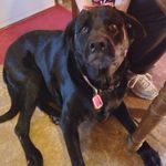 @peggymansfield.13 - Instagram