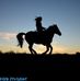 Peggy Marek - Facebook