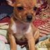 Peggy Mathews - Facebook