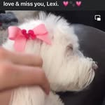 Peggy Jo - @peggy.mccombs - Instagram