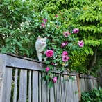 Peggy McCool - Facebook
