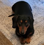 Peggy McCool - Facebook