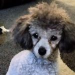 Peggy Mcgee - @peggymcgee43 - Instagram