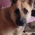 Peggy McGee - Facebook