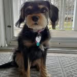 Peggy Malone McLaughlin - @peggy.mclaughlin - Instagram