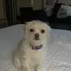 peggymclean21 - @peggymclean21 - TikTok