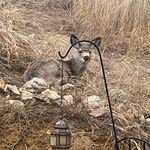 Peggy Ann McManus - @luceeblu - Instagram