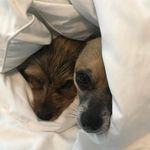 Peggy McNabb Mucci - @peggymucci - Instagram
