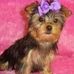 Peggy Menard - Facebook