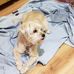 Peggy Messick - Facebook