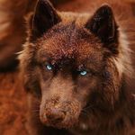 Peggy Michel - @peggymichel508 - Instagram