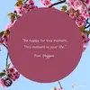 Peggy michelle - @peggymichelle1 - TikTok