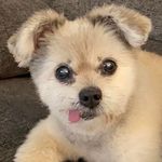 Peggy Hall Kermick - @peggykermick - Instagram