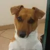 peggymicky - @peggymicky - TikTok