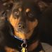 Peggy Mitchell - Facebook
