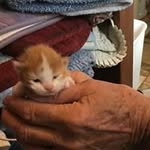 Peggy Mitchell - @mitchell.peggy - Instagram