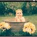 Peggy Mitchell - Facebook