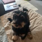 Peggy Mitchell - @peggylittleleggies - Instagram