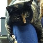 Peggy Mock - @mockpeggy - Instagram