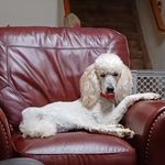 Peggy Mock - @lee.mock.9256 - Instagram