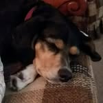 Peggy Monk Dudzick - @peggymonkdudzick - Instagram