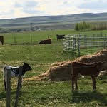 Peggy Monkman - @peggymonkman - Instagram