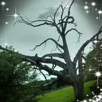 Peggy Moriarty - Facebook