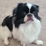Peggy Moses Thompson - @peggy_moses_thompson - Instagram