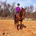 Peggy Mueller - @pegmueller - Instagram