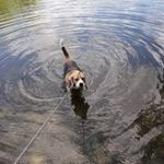 Peggy Mueller - @mueller.peggy - Instagram