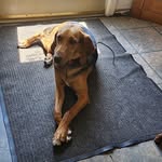 Peggy Mueller - @mueller_peggy - Instagram