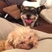 Peggy Nagy - Facebook