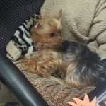 Peggy Nance - @nance7301 - Instagram
